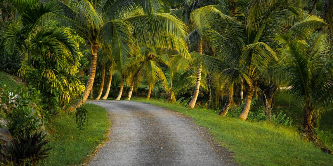 Economic Policies for Environmental Protection: What Works and What Doesn’t?