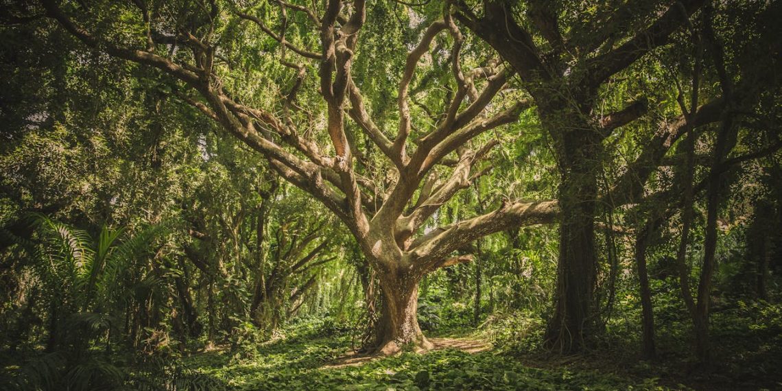 Green Innovations: How Technology is Pioneering Sustainable Environmental Practices